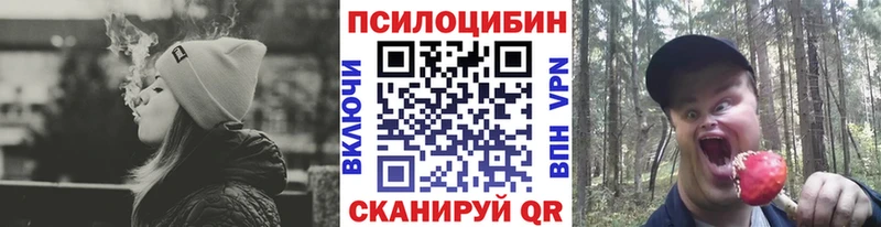 mega зеркало  купить  сайты  Комсомольск  Псилоцибиновые грибы Magic Shrooms 